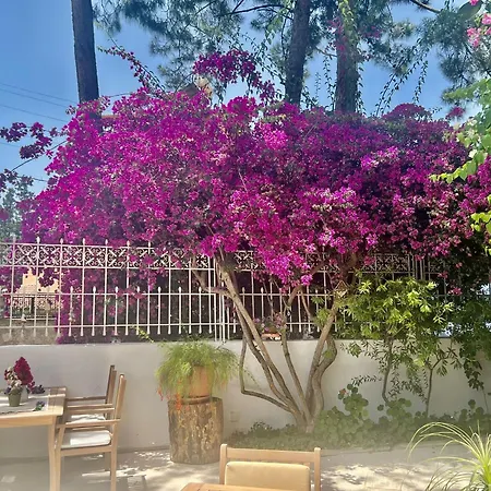 Carikci Hotel-3