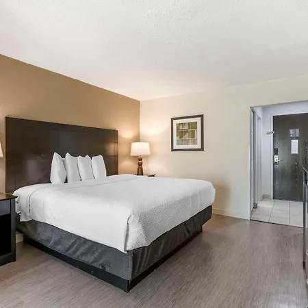 Best Western Suites Columbus-2