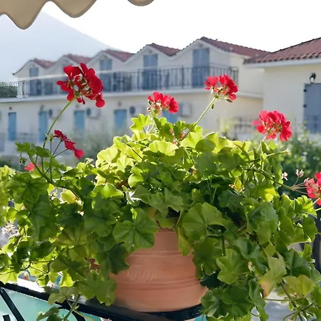Theofilos Classic Hotel-3