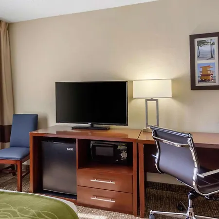 Comfort Inn St Petersburg North-3