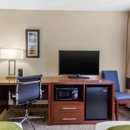 Comfort Inn St Petersburg North-2