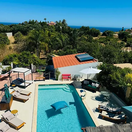 Palm View Guesthouse, Adults Only-2