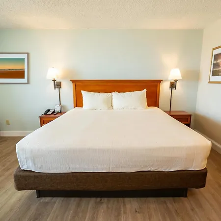 The Oceanfront Inn - Virginia Beach-3