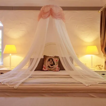 Flamingo Hotel&Spa - Pet Friendly-3