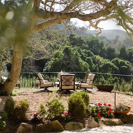 Quinta Da Bella Vista, Private Historic Estate, Sintra-3
