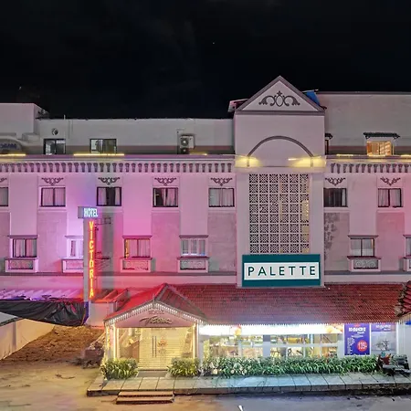 Oyo Palette - Hotel Victoria-3
