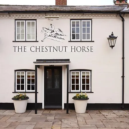 The Chestnut Horse-3