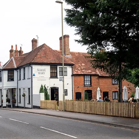 The White Hart By Innkeeper'S Collection-3