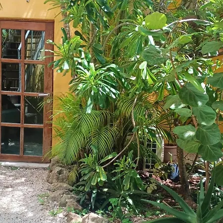 Casa Abanico Tulum-2