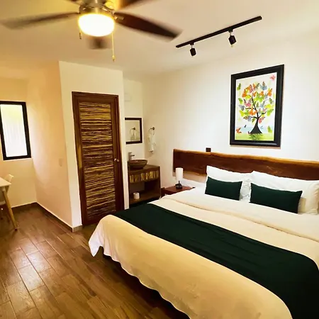 Hotel Tequila Cancun-3