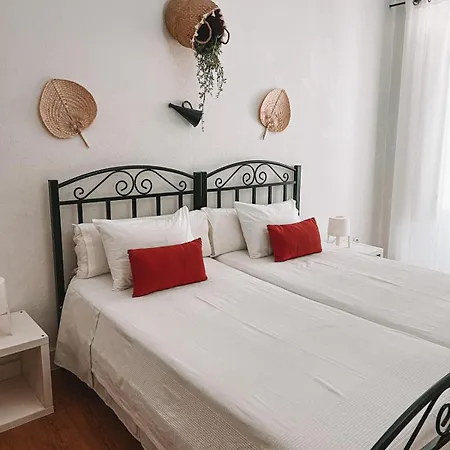 Avis Guesthouse-2