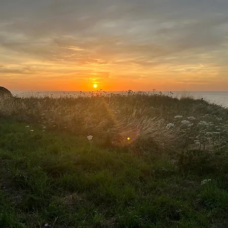 Les Nids-3