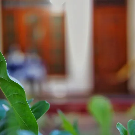 Lily'S Garden Resort-3