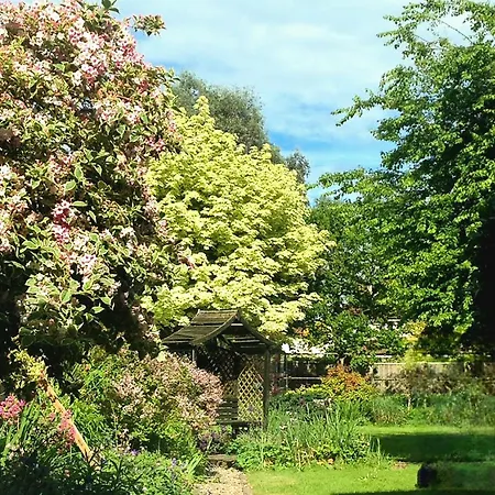 Hollybush Guest House-2