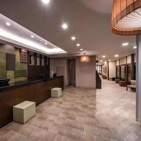 Hotel Vista Premio Kyoto Kawaramachi St-3