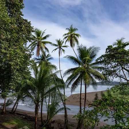 Pirate Cove-3