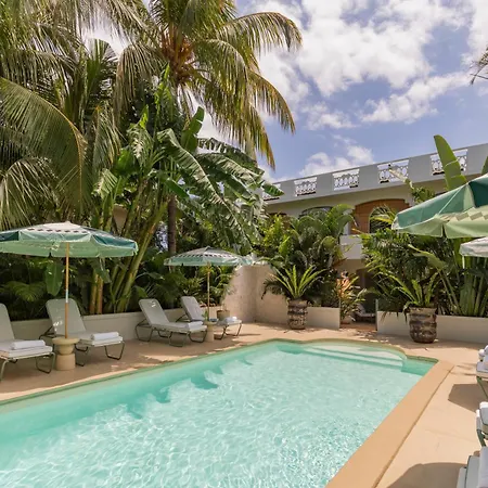 Maison Tropical-2
