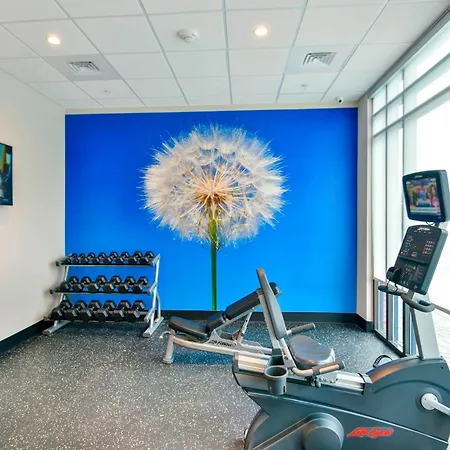 Springhill Suites By Marriott Wilmington Wrightsville Beach-2