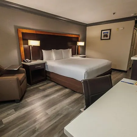 Comfort Inn & Suites Near Universal - N Hollywood - Burbank-2