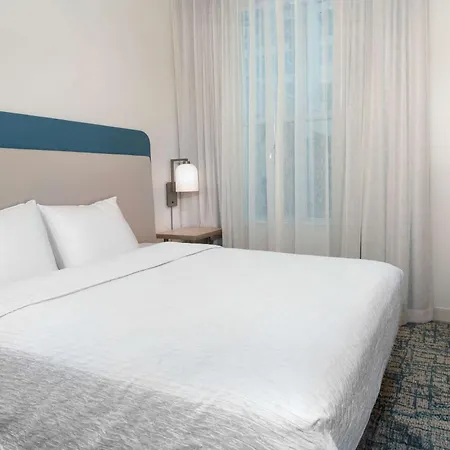 Homewood Suites By Hilton Tampa Airport - Westshore-3