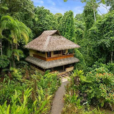 Copa De Arbol Beach & Rainforest Resort-2