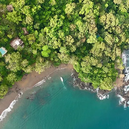 Copa De Arbol Beach & Rainforest Resort-3