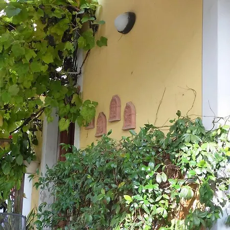 B&B Il Casale Di Nanni-3