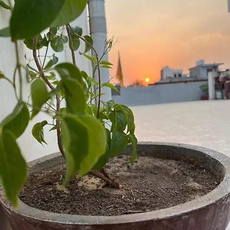 Ciudad Rosa-2