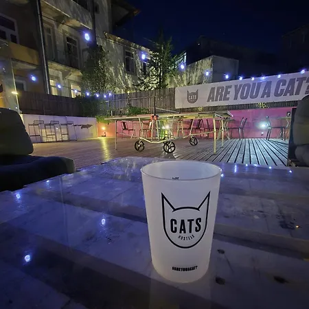 Cats Porto Hostel-2