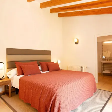 Hotel Y Apartamentos Des Puig-2