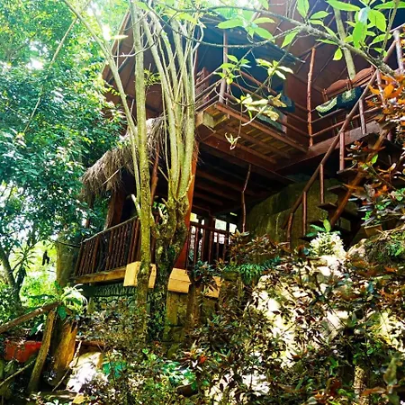 Jungle Face Inn-2