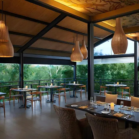 Cinnamon Wild Yala-3