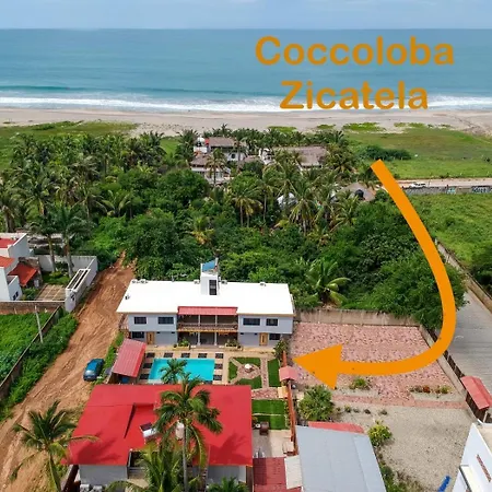 Coccoloba Guest House-3