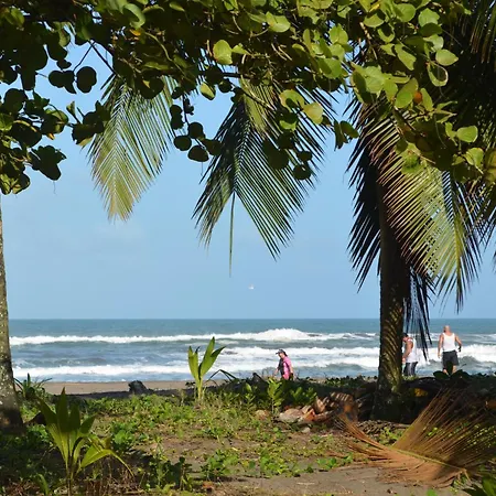 Hotel Pura Natura Beachfront Tortuguero-2