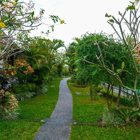 Green Coconut Cottage-2