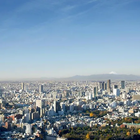 The Ritz-Carlton, Tokyo-2