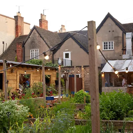 The Bull And Swan-3