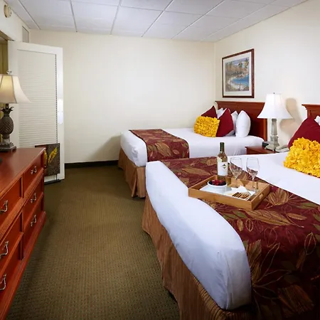 Best Western Naples Inn & Suites-2