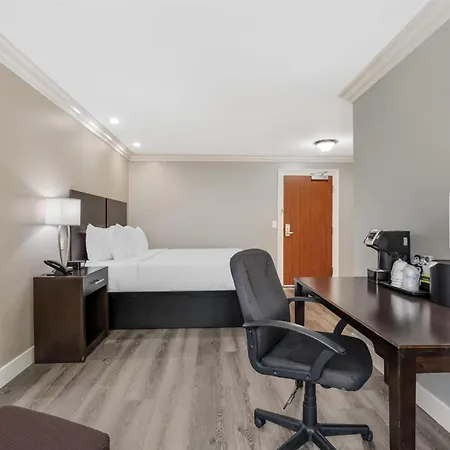 Best Western Plus La Mid-Town Hotel-2