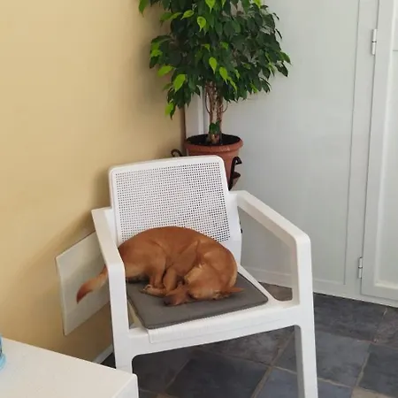 B&B Dalla Zia-2