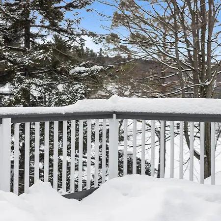 Stowe Motel & Snowdrift-2