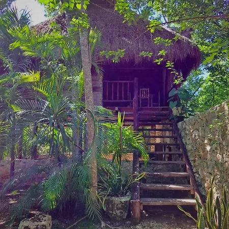 Casa Mango-3