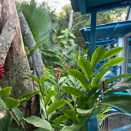 Zensus Eco Boutique Hotel-3