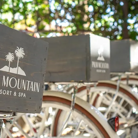 Palm Mountain Resort & Spa-2