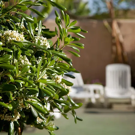 Hotel Vibra Marco Polo II - Adults Only-3