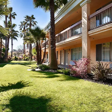Best Western Palm Court Inn-3