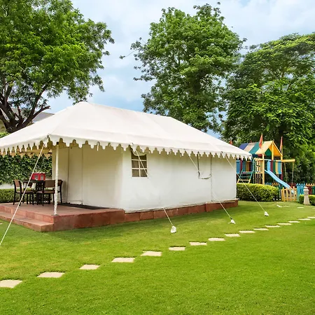 Trident Agra-3