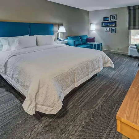 Hampton Inn Orlando-Maingate South-2