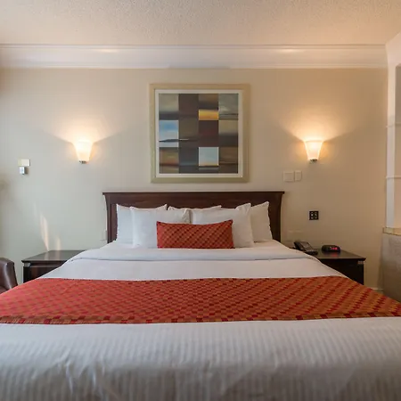 Fantasyland Hotel-2