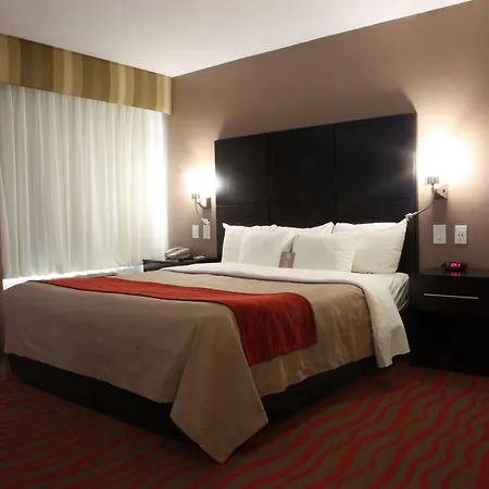 Comfort Inn Los Angeles Near Hollywood-2